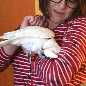 Meet your Posher, Deborah